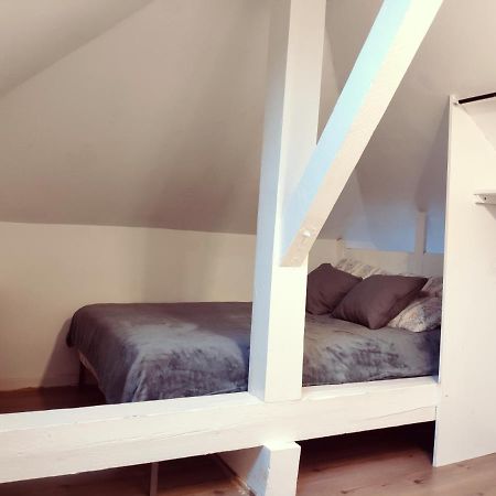 Au Bord Du Foron Apartamento Scionzier Exterior foto