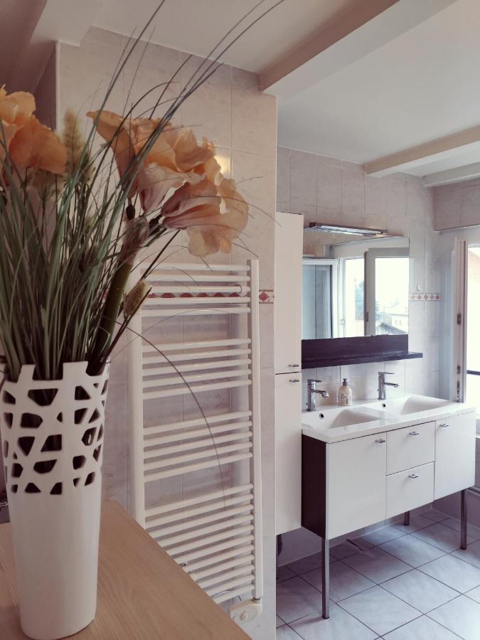 Au Bord Du Foron Apartamento Scionzier Exterior foto